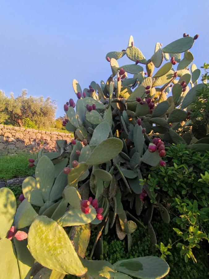 la Tana di Luna Villa Adrano Esterno foto