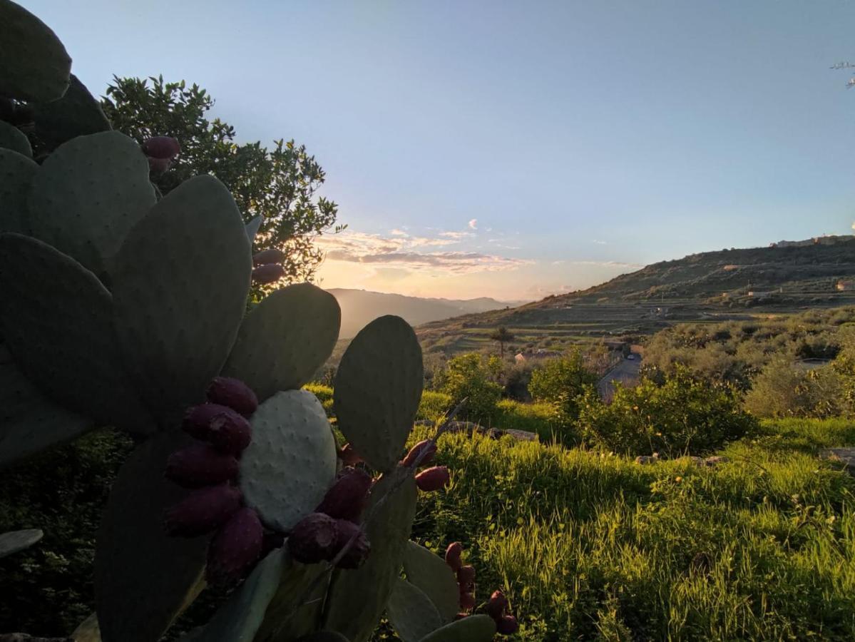 la Tana di Luna Villa Adrano Esterno foto